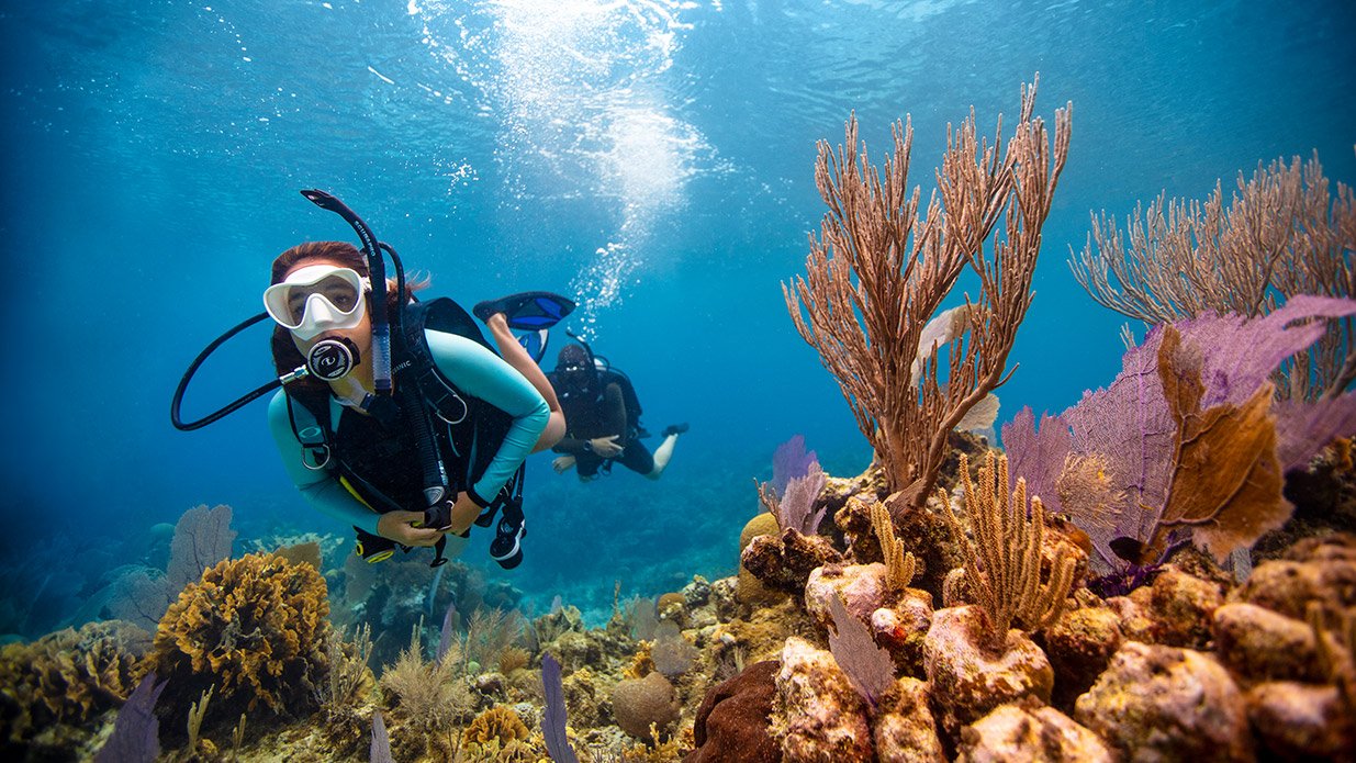 PADI Open Water Diver Course