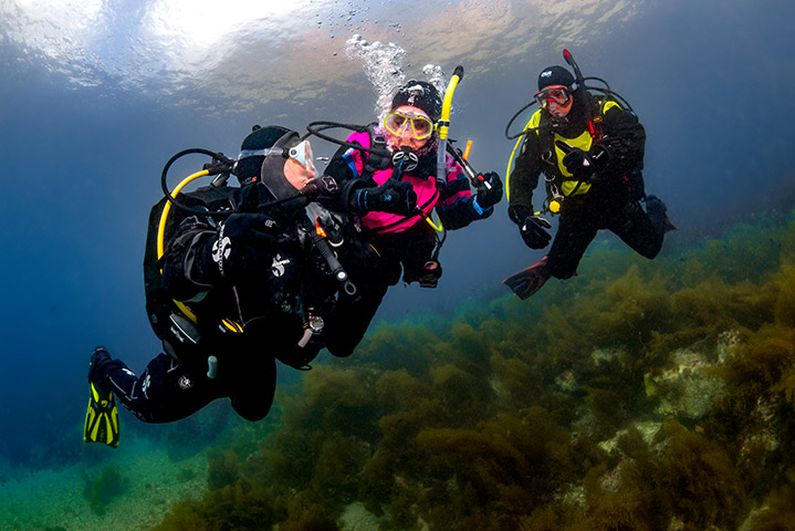 Dry Suit Diver