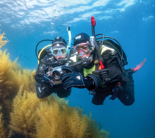 Digital Underwater Photographer