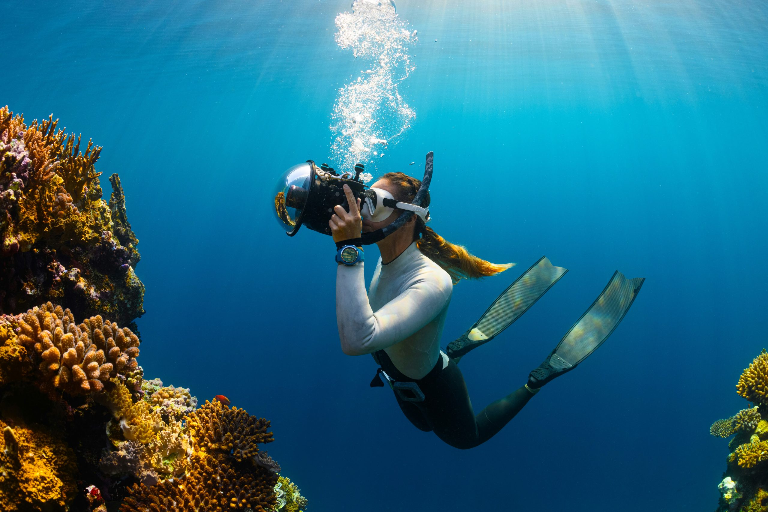 Scuba Diving in Phoenix, AZ: Salt and Sea Scuba Leads the Desert Dive Boom