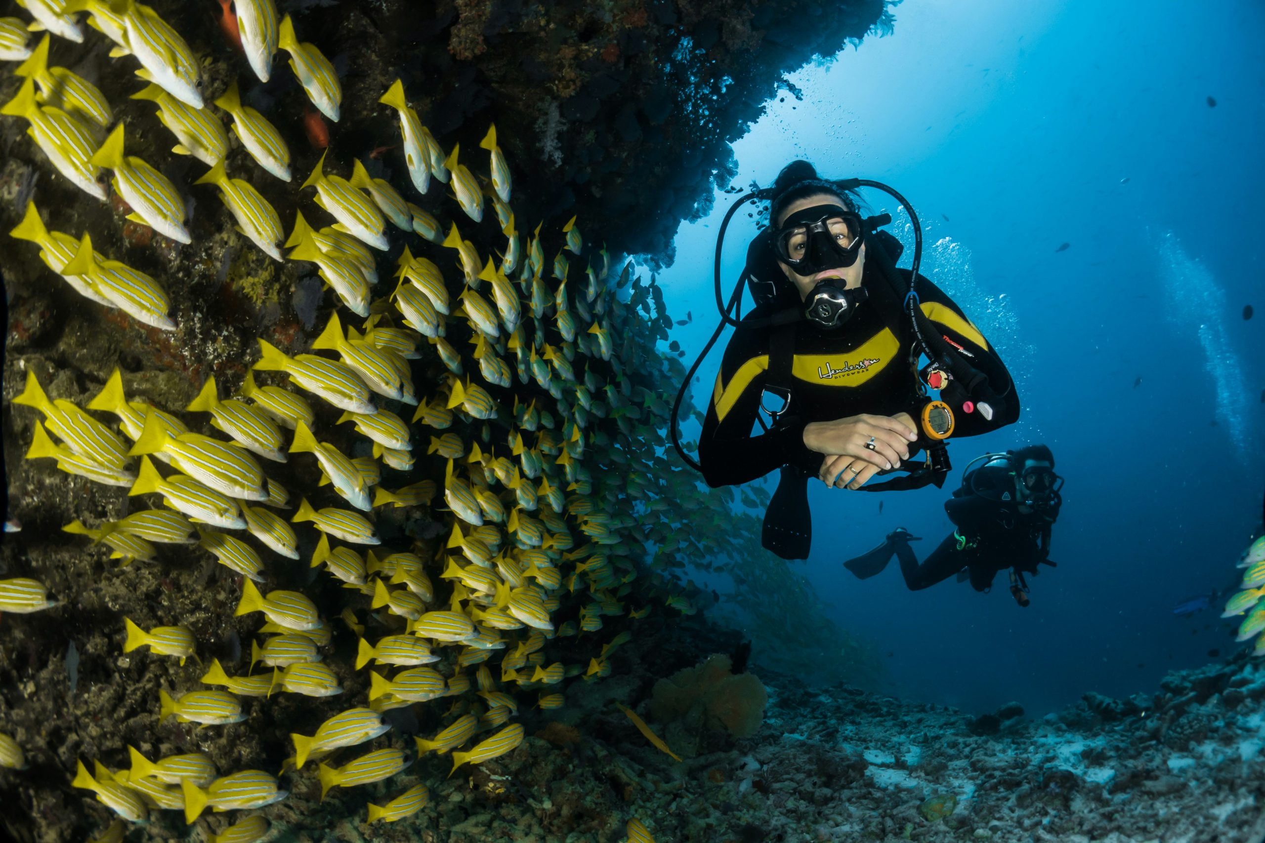 Dive Into Adventure with Salt and Sea Scuba