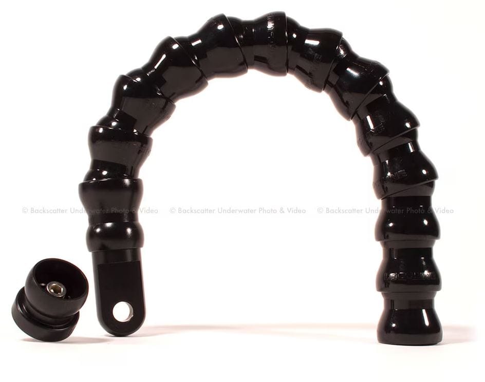 Backscatter - 12" Flex Arm with YS End - Image 2