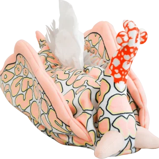 Batwing Slug