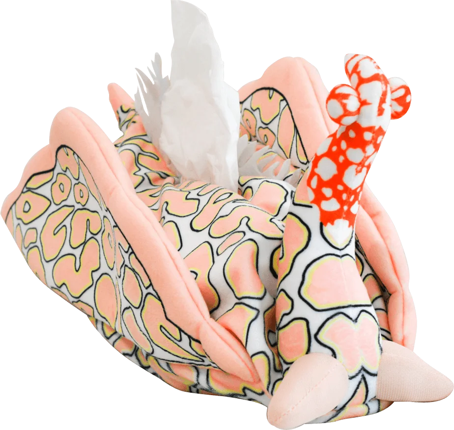 Batwing Slug