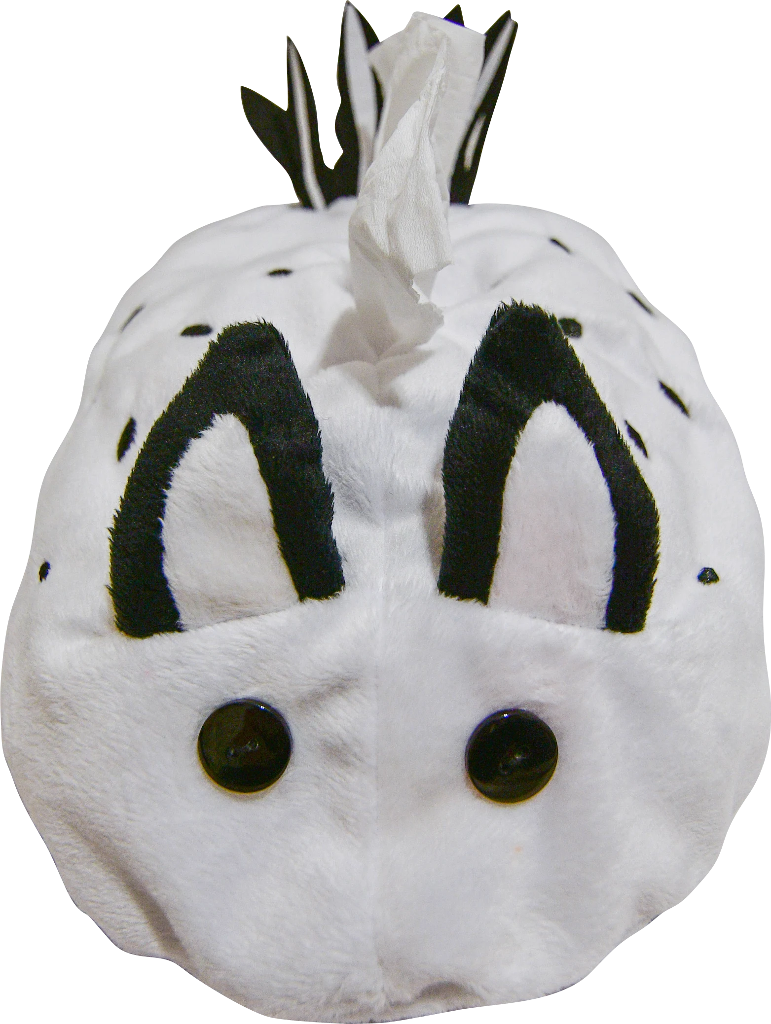 Jorunna Parva (White )