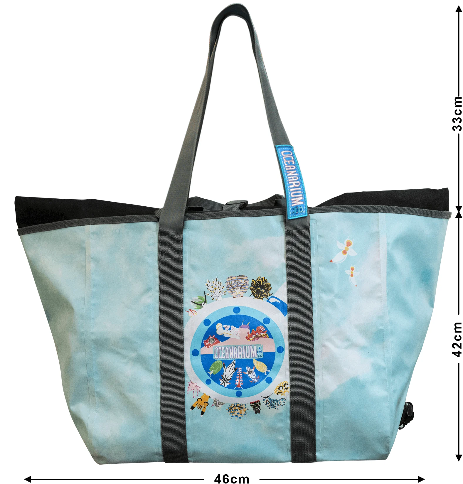 Seaslug - Image 2