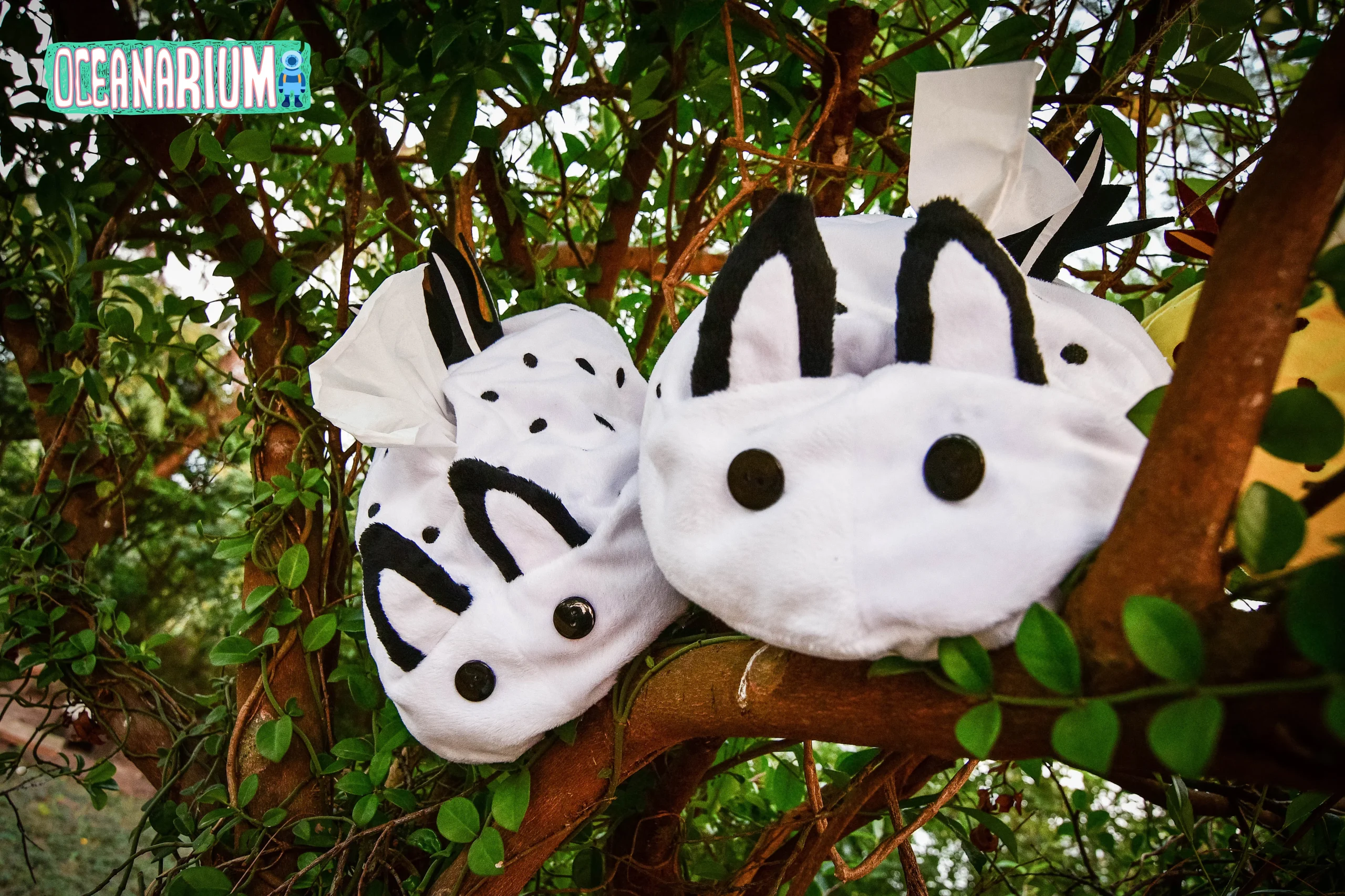 Jorunna Parva (White ) - Image 3