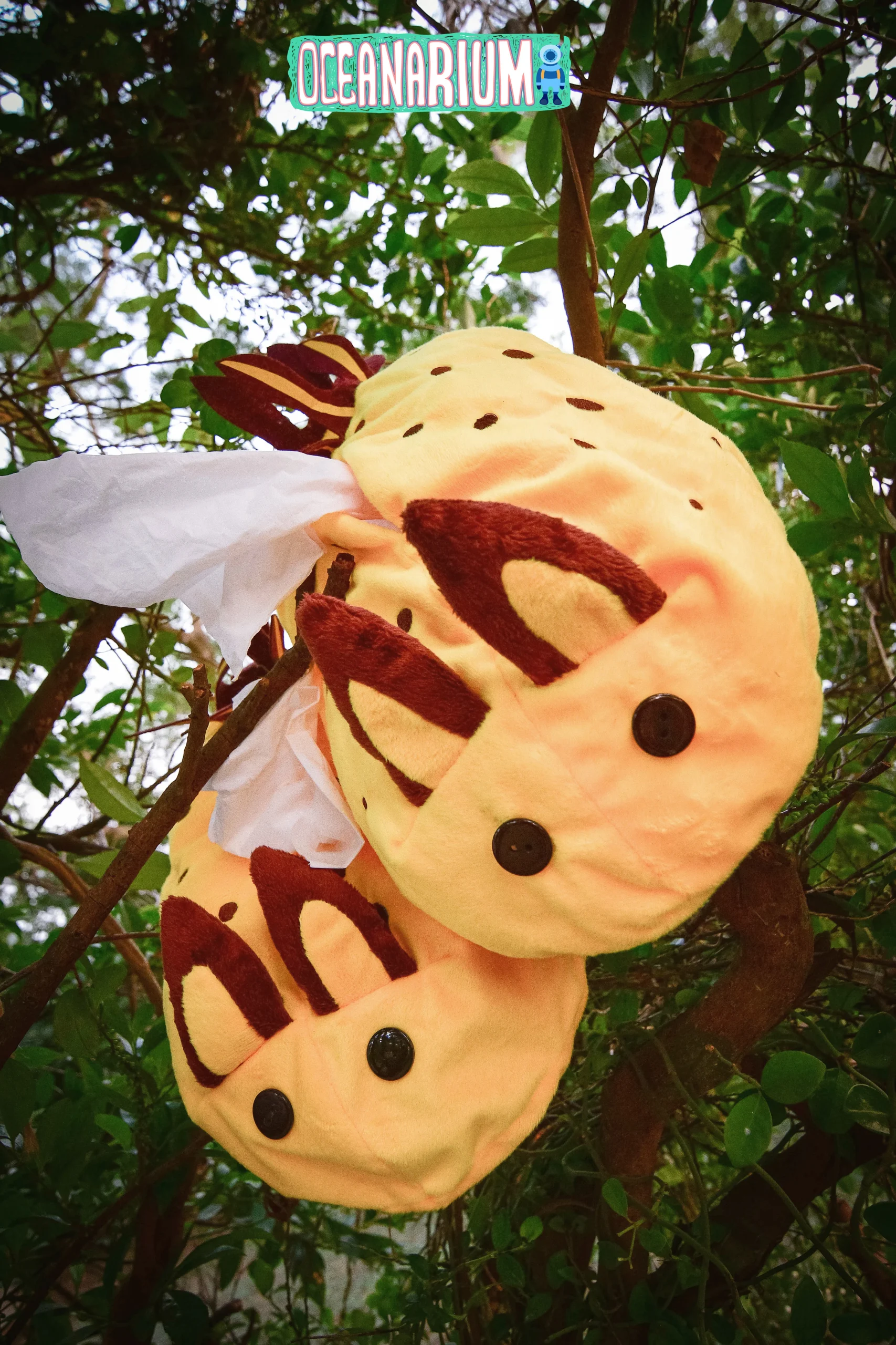 Jorunna Parva ( Yellow ) - Image 3