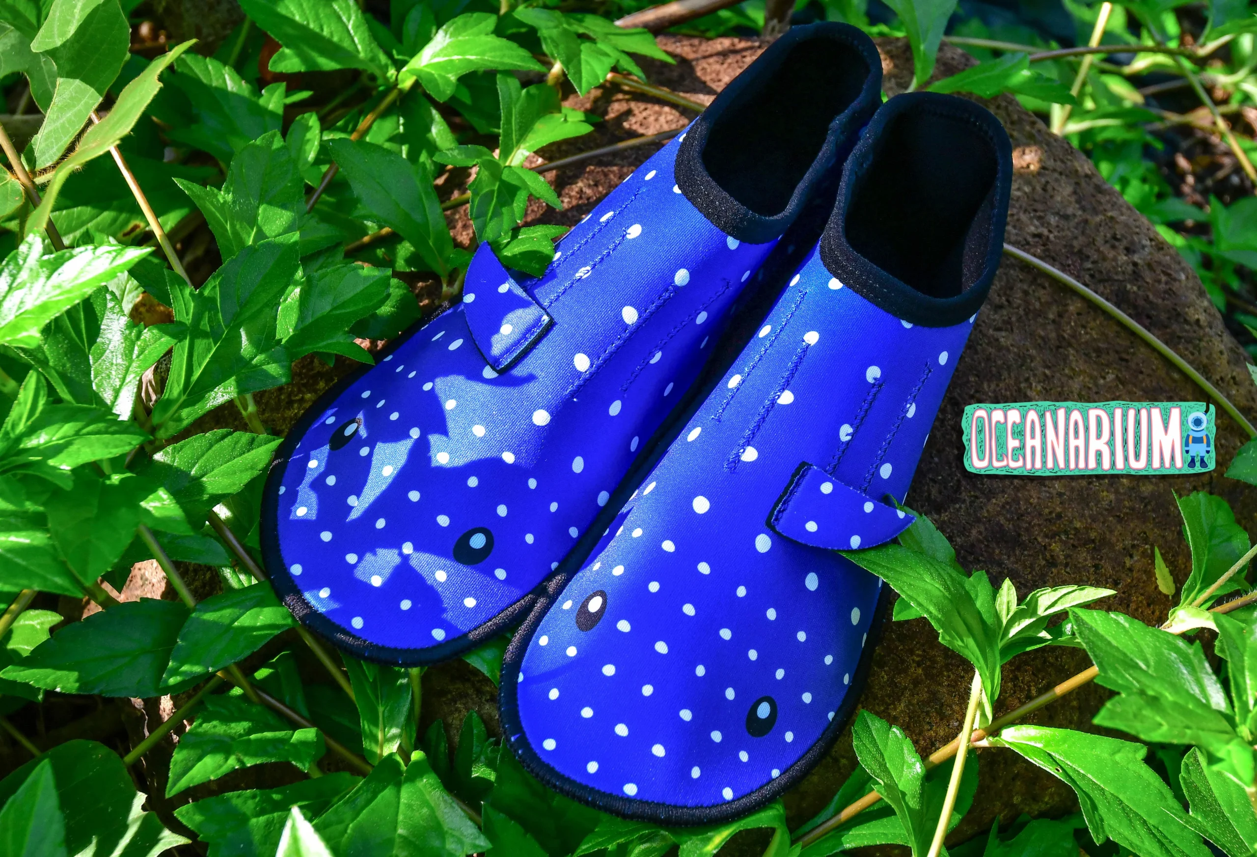 Whaleshark Neoprene Socks