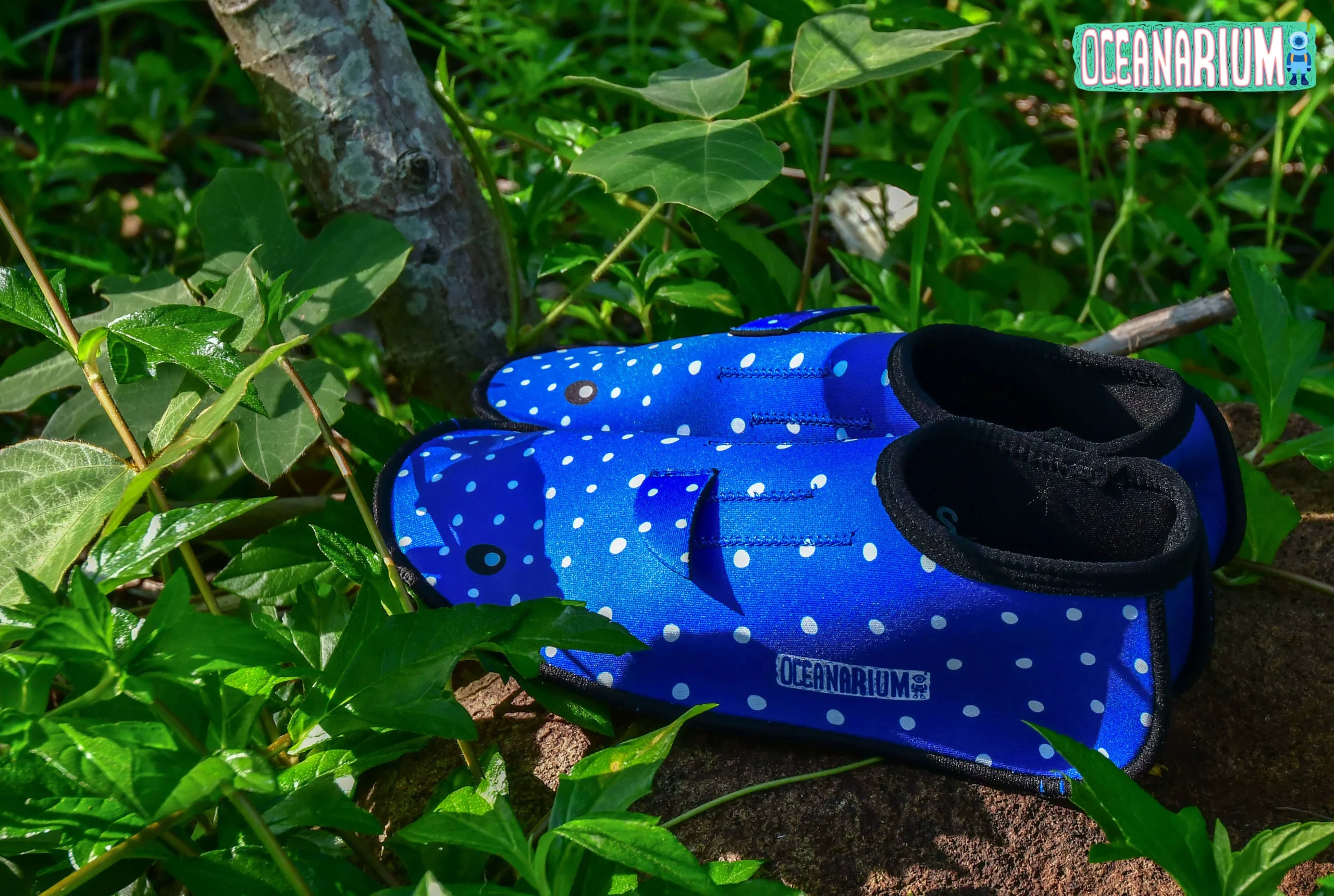 Whaleshark Neoprene Socks - Image 4
