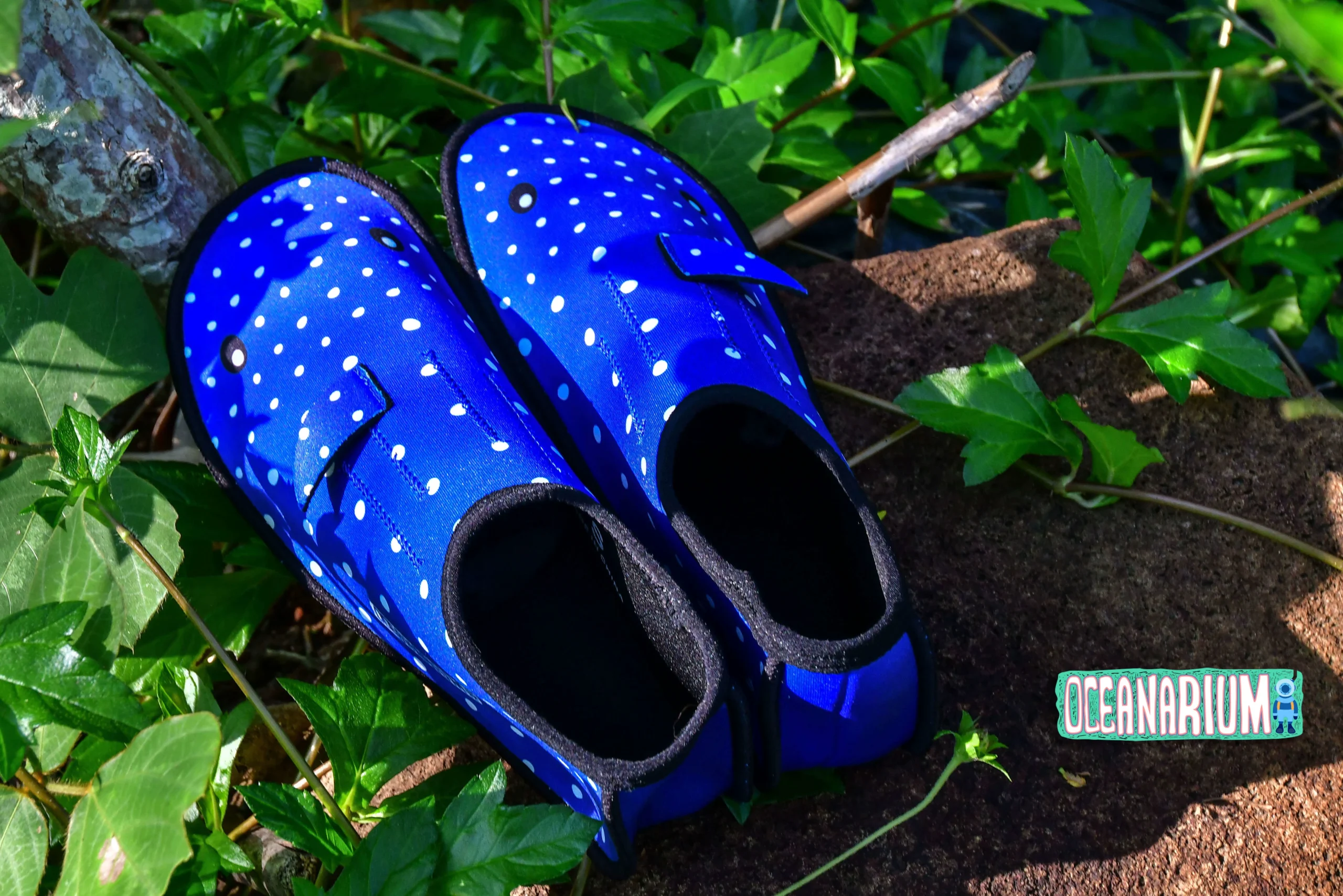 Whaleshark Neoprene Socks - Image 3