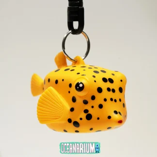 Boxfish Octopus Holder