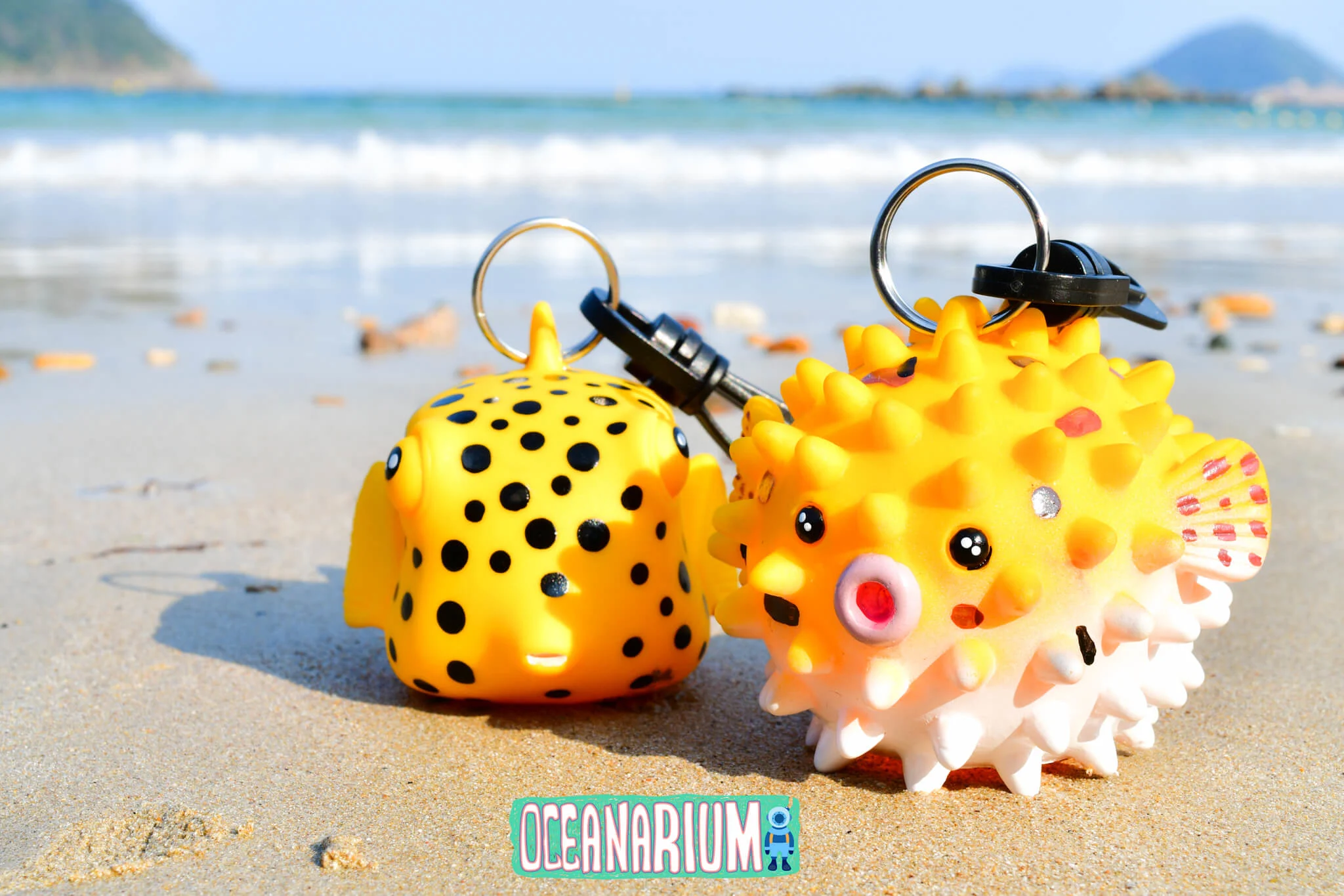 Boxfish Octopus Holder - Image 4