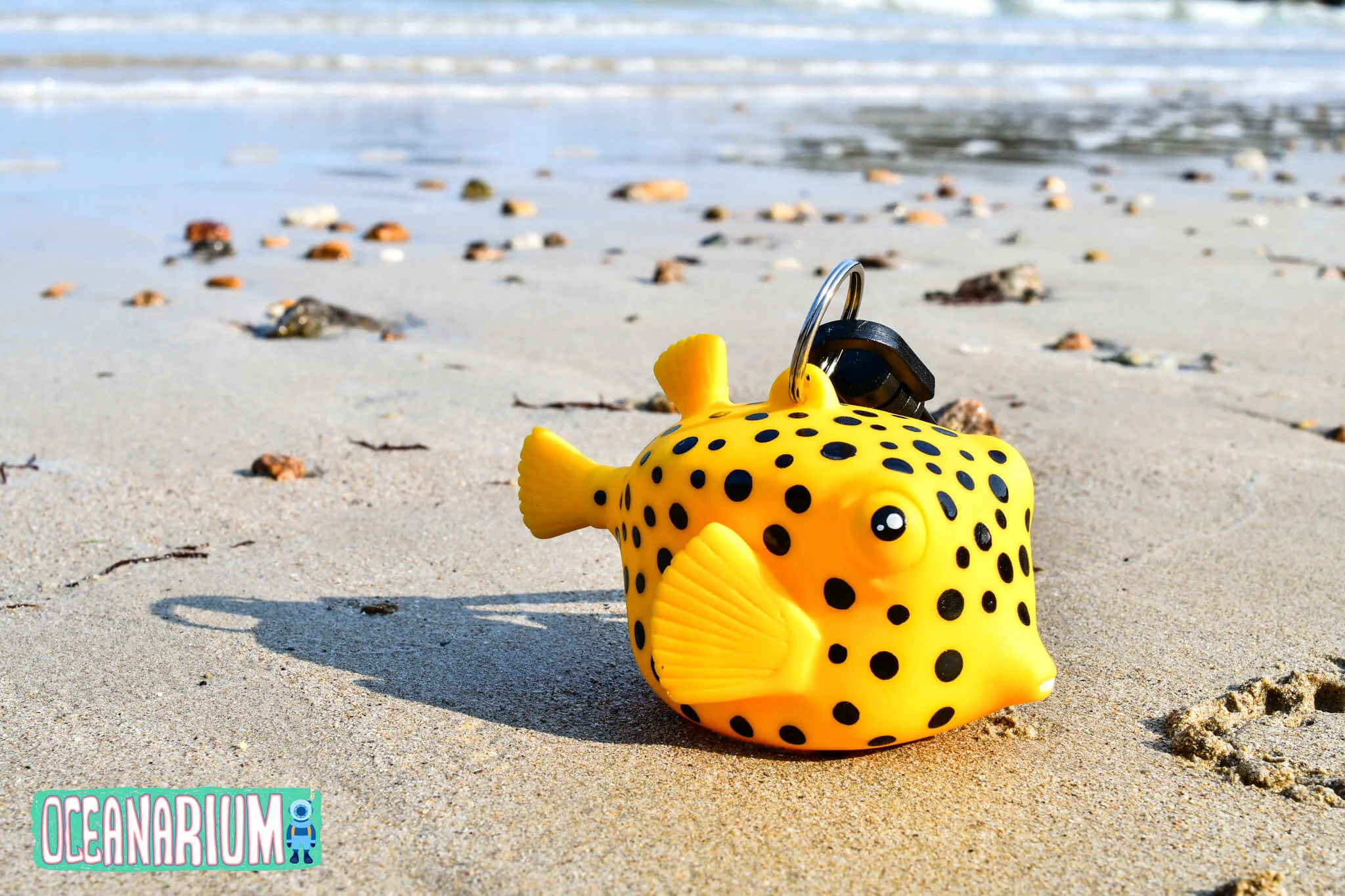Boxfish Octopus Holder - Image 3
