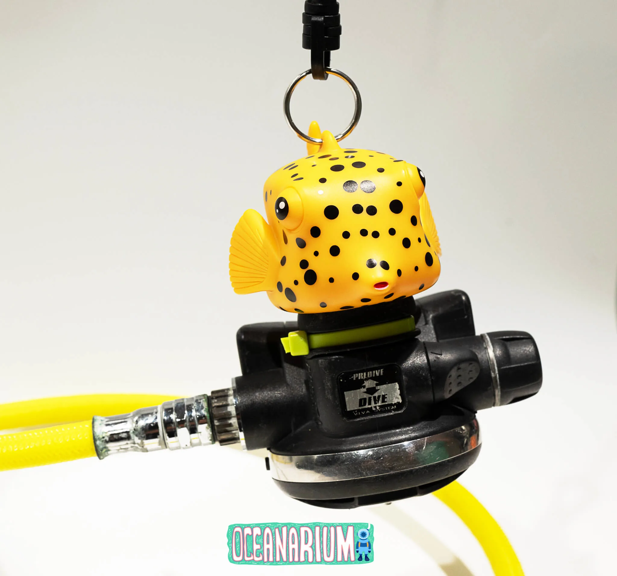 Boxfish Octopus Holder - Image 2