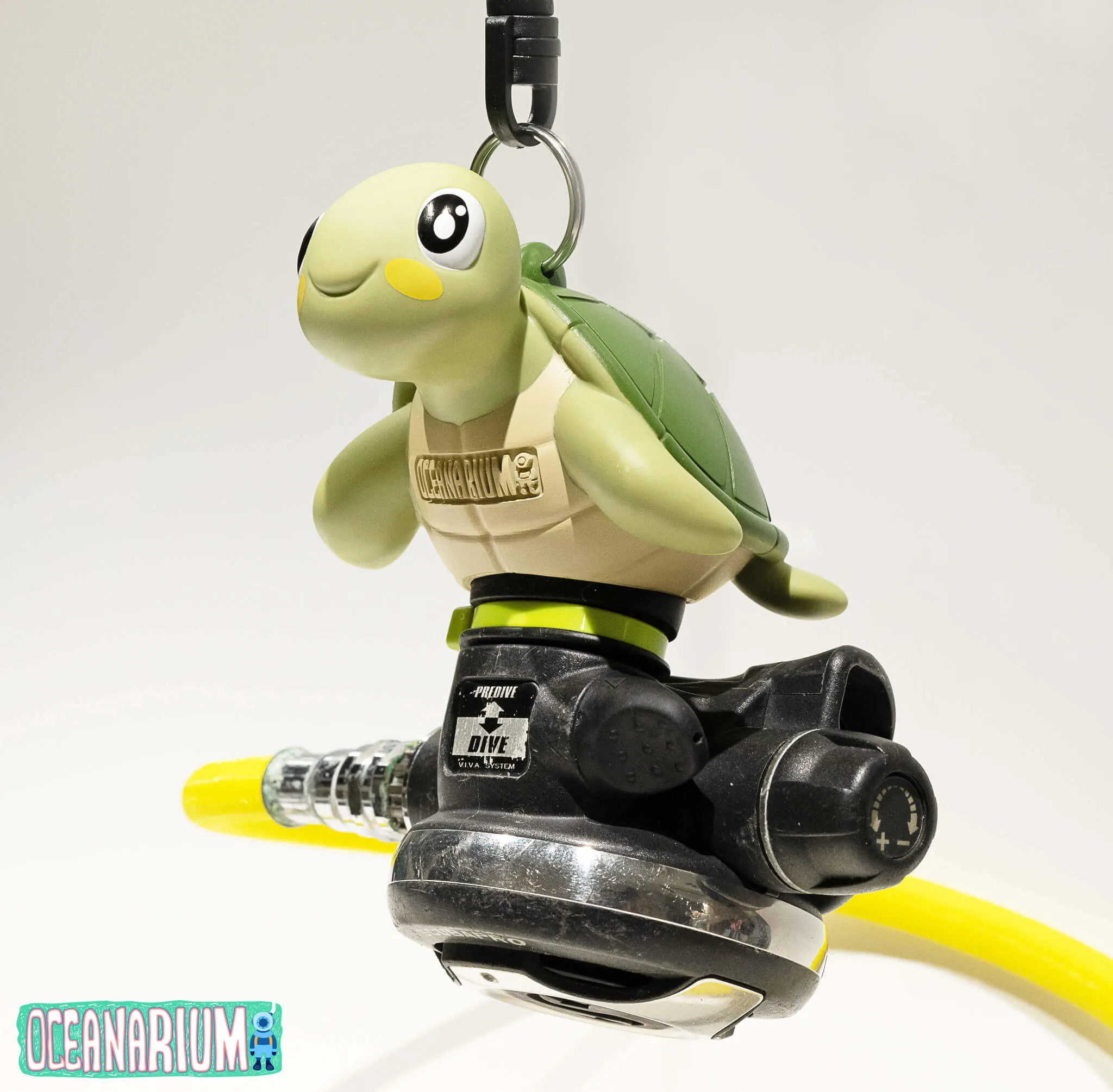 Sea Turtle - Image 2