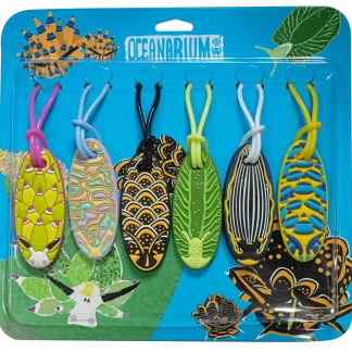 Seaslug Gear Tag II