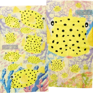 Boxfish Headwear