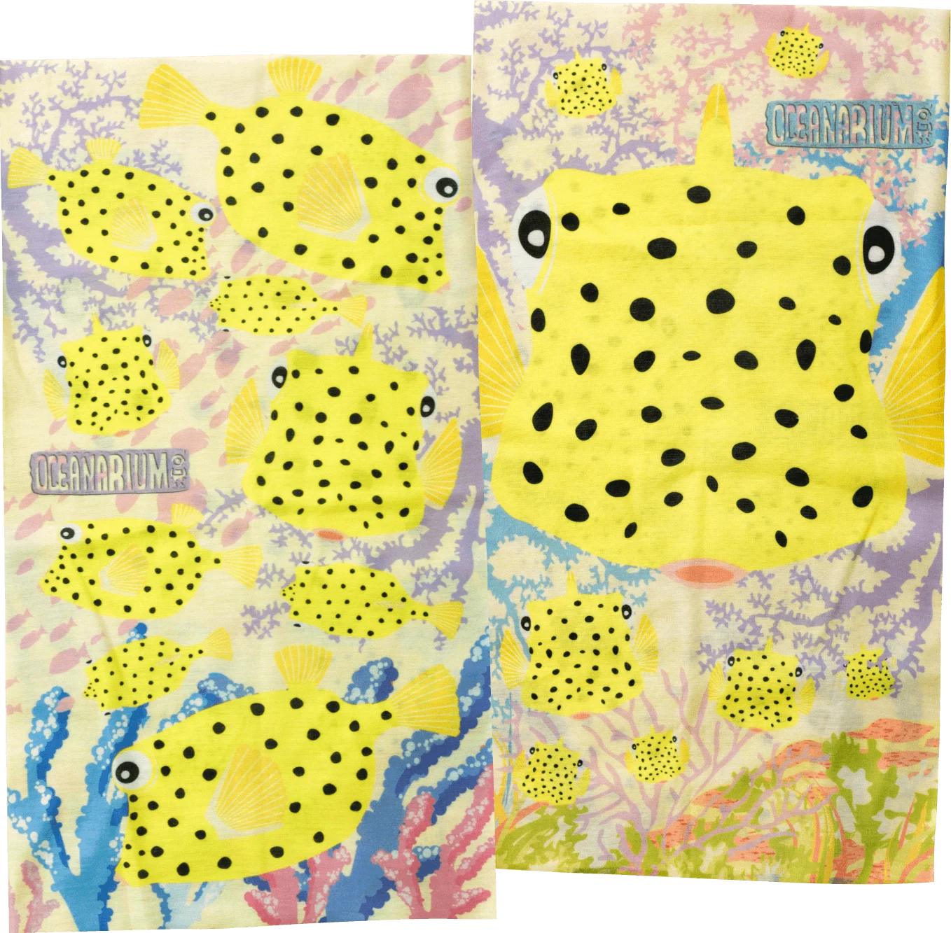 Boxfish Headwear