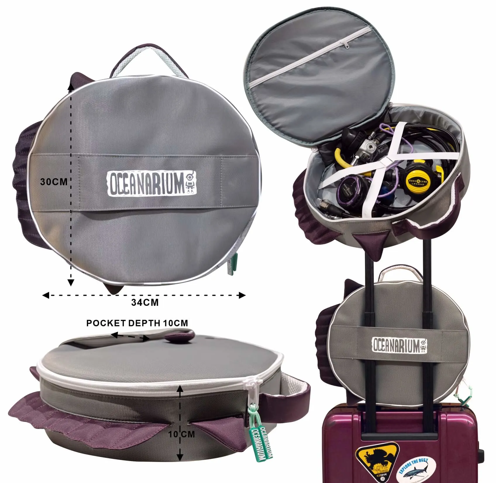 Ocean Sunfish Regulator Bag - Image 2