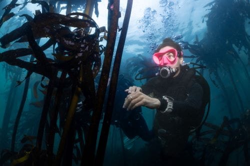 SUUNTO - Ocean - Image 10