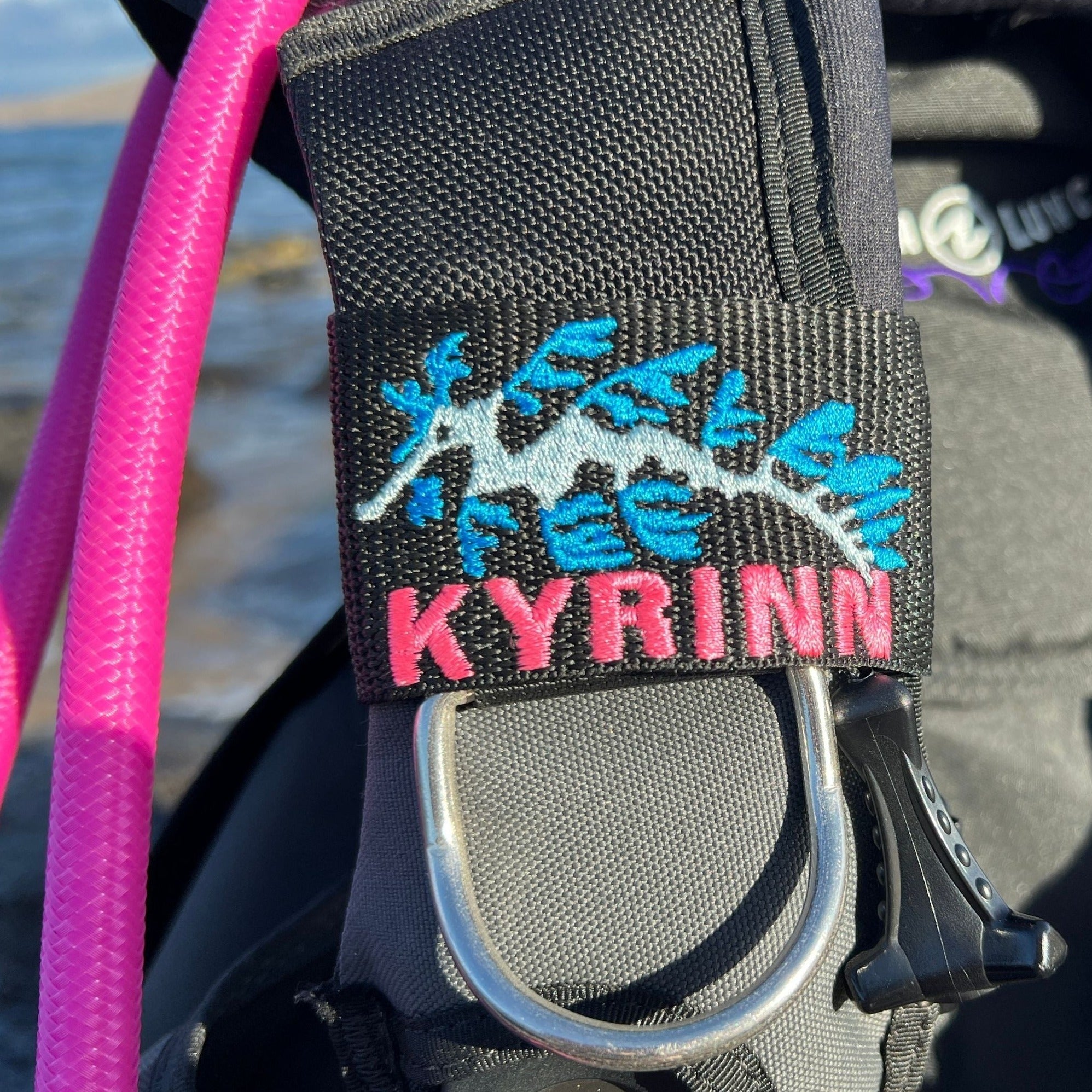 Leafy Sea Dragon Personalized Bcd Tag - Image 11