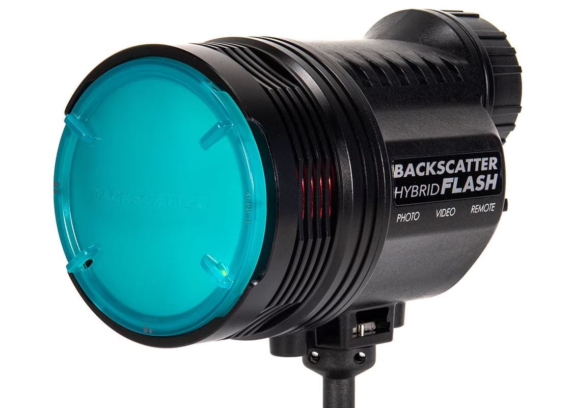 Backscatter - Hybrid Flash Ambient Blue Flat & Dome Diffuser Package - Image 2