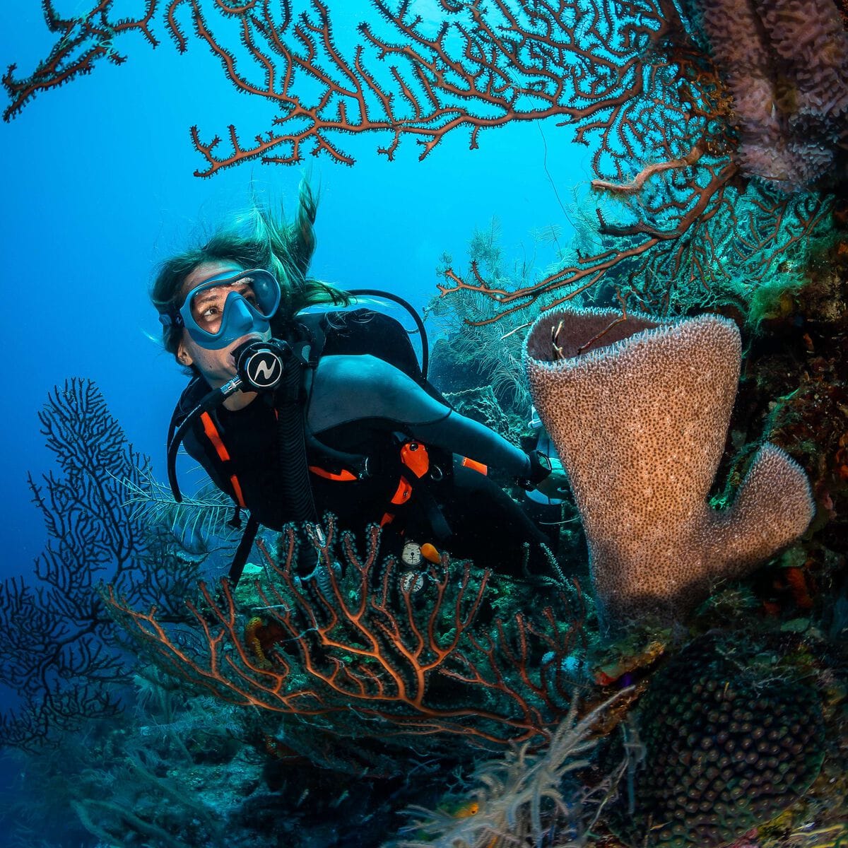 Aqualung - Pro Hd Compact BCD - Image 4