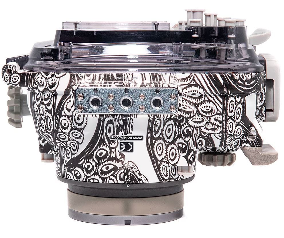 Backscatter - Olympus E-M10 IV Octo Housing - Image 7