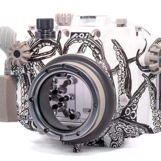 Backscatter - Olympus E-M10 IV Octo Housing