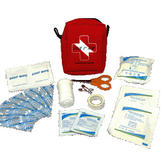 Mini First Aid Kit
