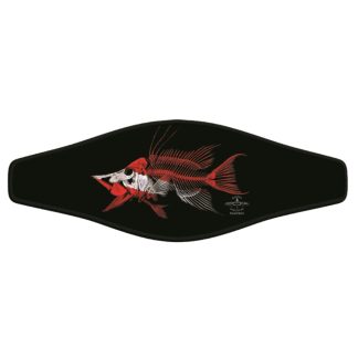 Innovative Scuba - Picture S/w Hogfish