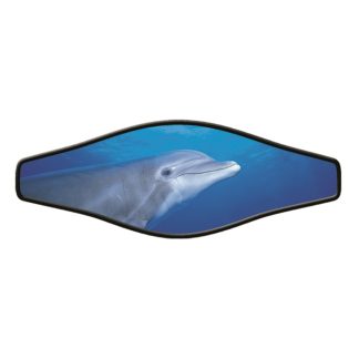 Innovative Scuba - Picture S/w Live Dolphin