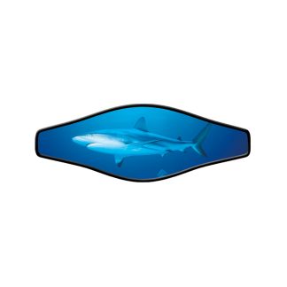 Innovative Scuba - Picture Ss Live Shark