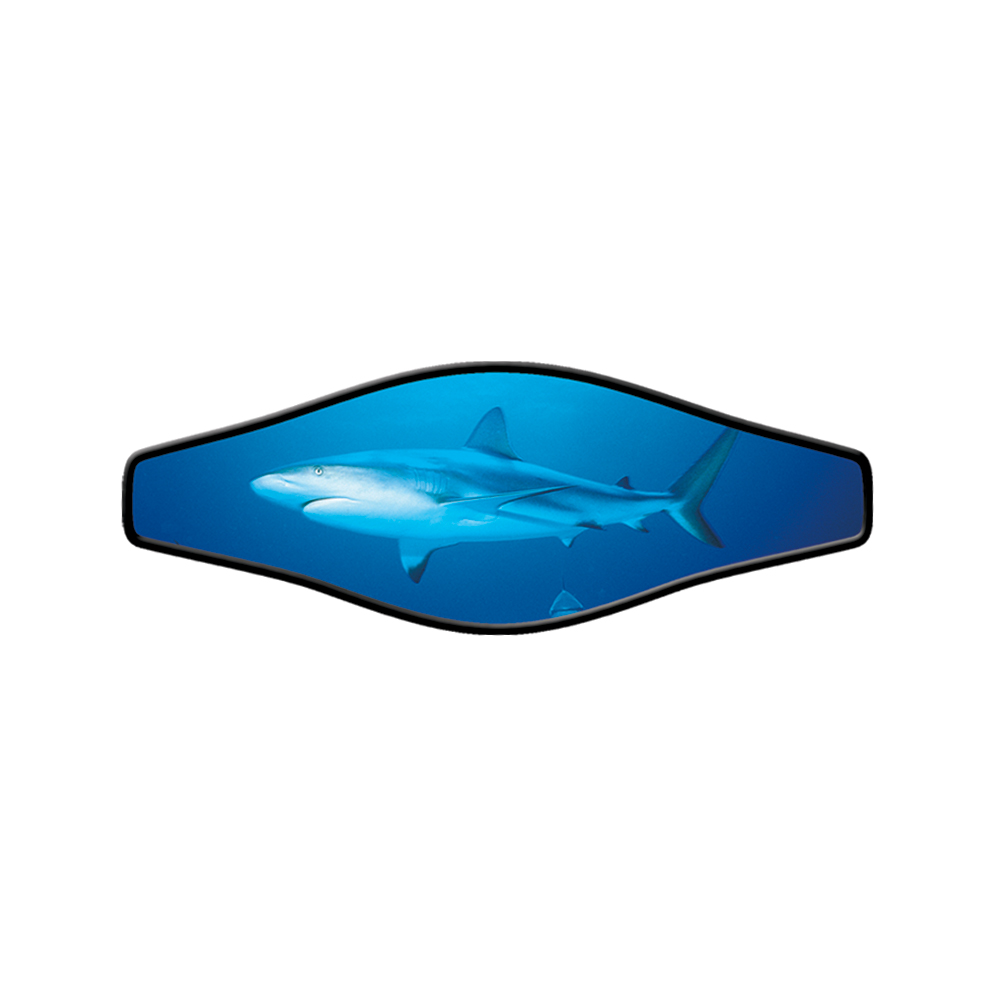 Innovative Scuba - Picture Ss Live Shark