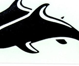 Innovative Scuba-24 Twin Dolphins -12pk - 5