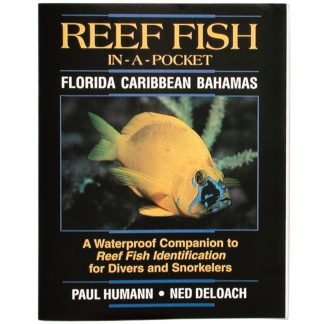 Innovative Scuba - Fish-In-A-Pkt Id Fl,carib,Bah