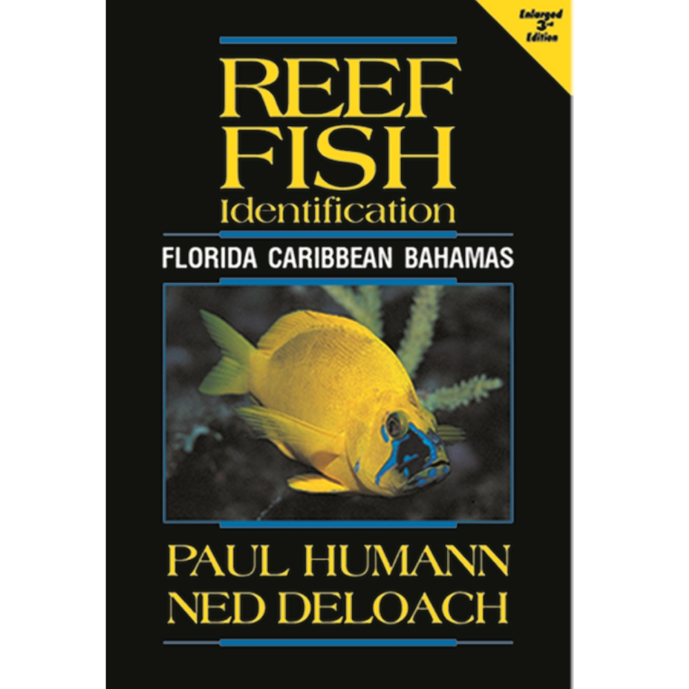 Innovative Scuba - Reef Fish Identification