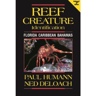 Innovative Scuba - Reef Creature Identification