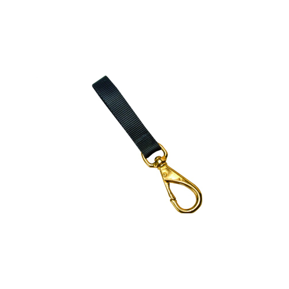 Lanyard W/#3 Brass Clip