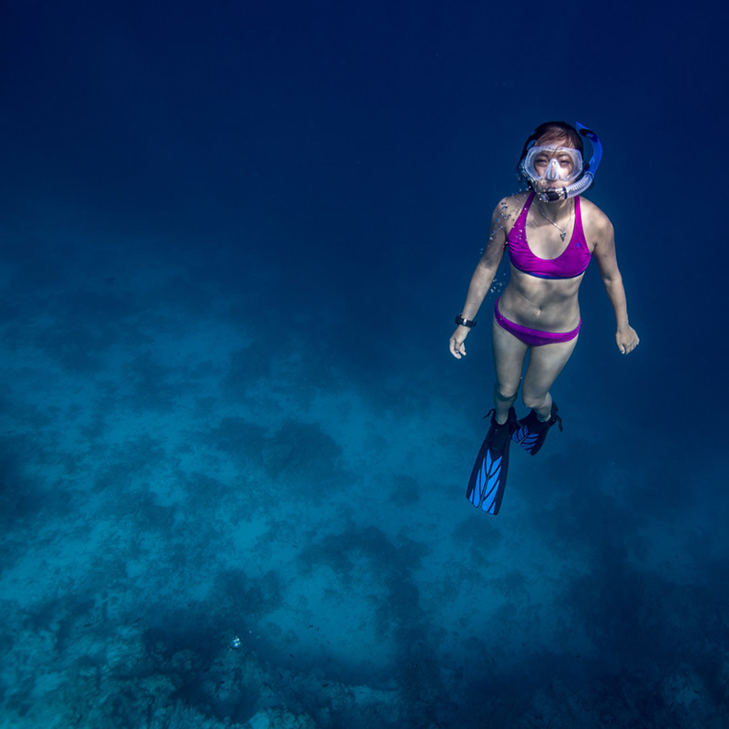 Suunto - D4f W/o Usb (Freedive) - Image 4