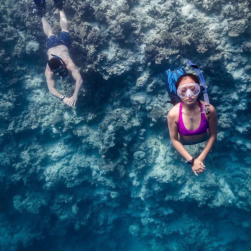 Suunto - D4f W/o Usb (Freedive) - Image 6