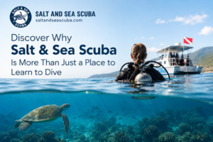 Place to Learn to Dive